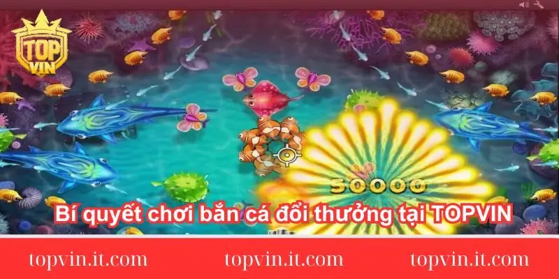 bi-quyet-choi-ban-ca-doi-thuong-tai-topvin