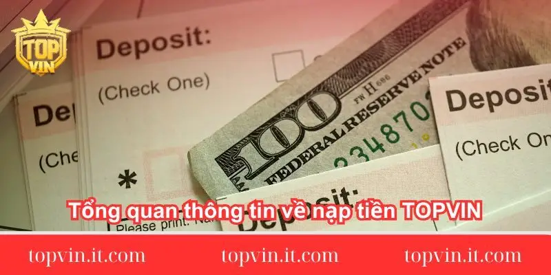 Tổng quan thông tin về nạp tiền TOPVIN